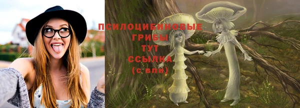 мяу мяу мука Вяземский