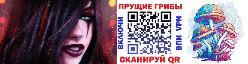 Галлюциногенные грибы Psilocybine cubensis  Купить  Кувшиново 