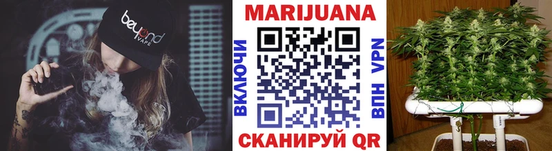 Купить где  Кувшиново  Каннабис марихуана 